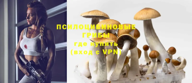 Галлюциногенные грибы Magic Shrooms  площадка наркотические препараты  Трубчевск 